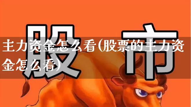 主力资金怎么看(股票的主力资金怎么看)_https://www.fzdzcxj.com_科创板_第1张
