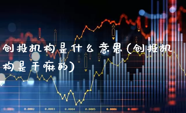 创投机构是什么意思(创投机构是干嘛的)_https://www.fzdzcxj.com_上交所_第1张
