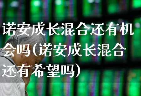 诺安成长混合还有机会吗(诺安成长混合还有希望吗)_https://www.fzdzcxj.com_深交所_第1张