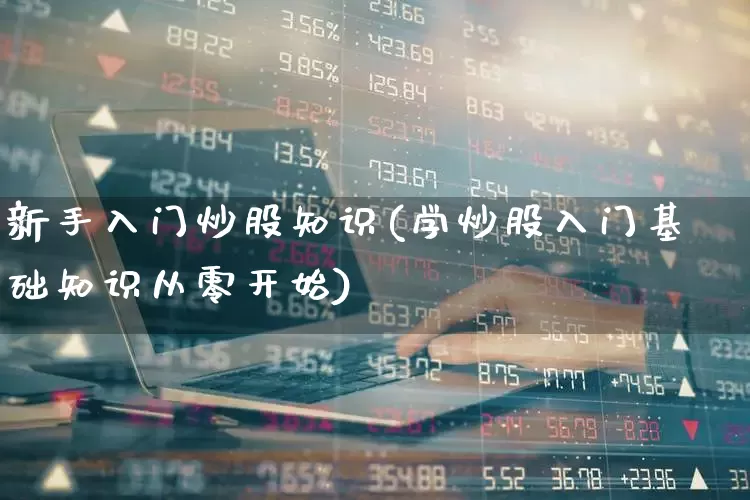 新手入门炒股知识(学炒股入门基础知识从零开始)_https://www.fzdzcxj.com_科创板_第1张