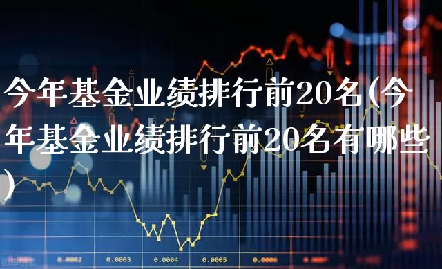 今年基金业绩排行前20名(今年基金业绩排行前20名有哪些)_https://www.fzdzcxj.com_创业板_第1张