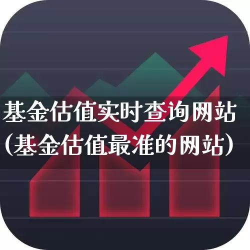 基金估值实时查询网站(基金估值最准的网站)_https://www.fzdzcxj.com_北交所_第1张
