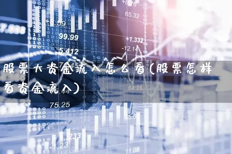 股票大资金流入怎么看(股票怎样看资金流入)_https://www.fzdzcxj.com_科创板_第1张