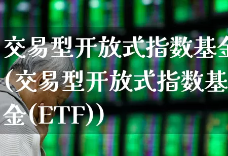 交易型开放式指数基金(交易型开放式指数基金(ETF))_https://www.fzdzcxj.com_上交所_第1张