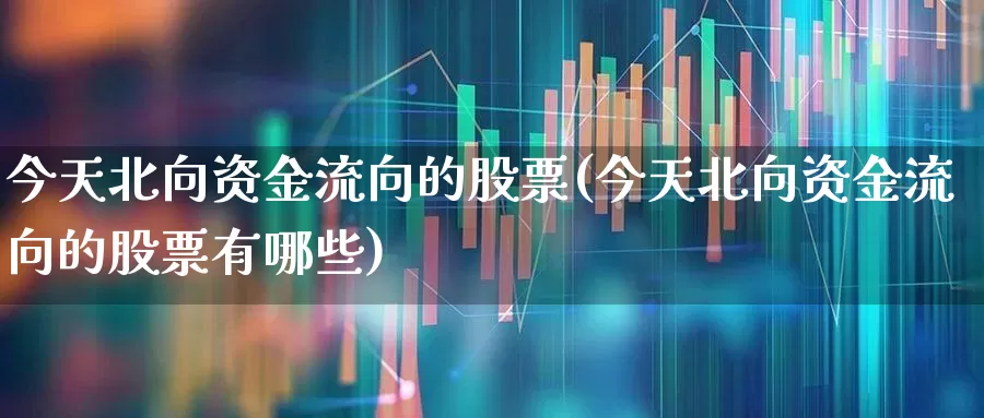 今天北向资金流向的股票(今天北向资金流向的股票有哪些)_https://www.fzdzcxj.com_深交所_第1张