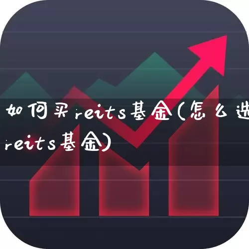 如何买reits基金(怎么选reits基金)_https://www.fzdzcxj.com_创业板_第1张
