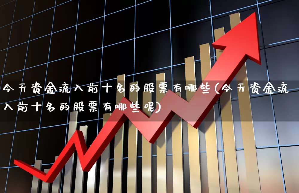 今天资金流入前十名的股票有哪些(今天资金流入前十名的股票有哪些呢)_https://www.fzdzcxj.com_上交所_第1张