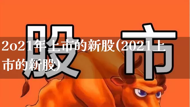 2o21年上市的新股(2021上市的新股)_https://www.fzdzcxj.com_深交所_第1张