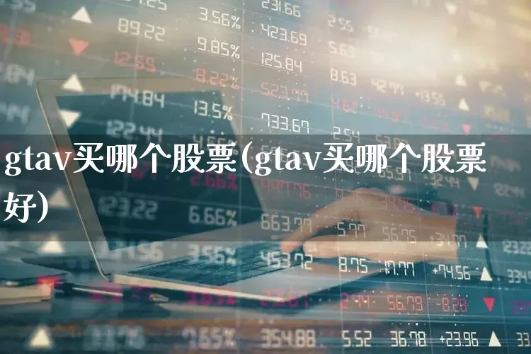 gtav买哪个股票(gtav买哪个股票好)_https://www.fzdzcxj.com_北交所_第1张