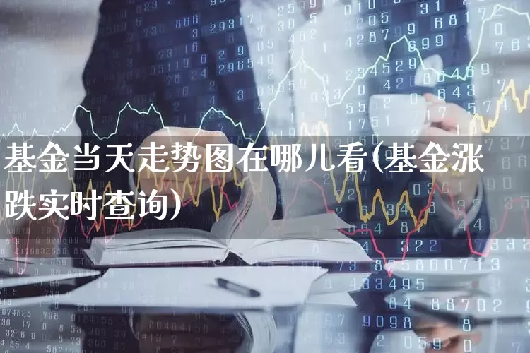 基金当天走势图在哪儿看(基金涨跌实时查询)_https://www.fzdzcxj.com_深交所_第1张