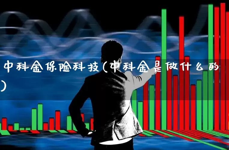 中科金保险科技(中科金是做什么的)_https://www.fzdzcxj.com_北交所_第1张