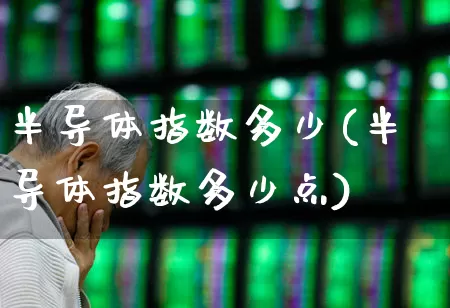 半导体指数多少(半导体指数多少点)_https://www.fzdzcxj.com_上交所_第1张