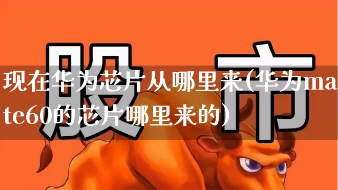 现在华为芯片从哪里来(华为mate60的芯片哪里来的)_https://www.fzdzcxj.com_科创板_第1张