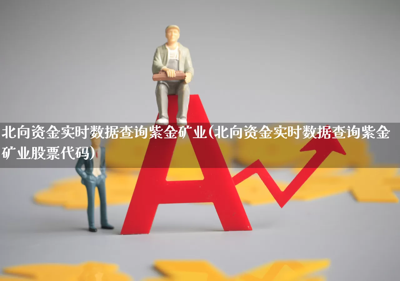 北向资金实时数据查询紫金矿业(北向资金实时数据查询紫金矿业股票代码)_https://www.fzdzcxj.com_科创板_第1张