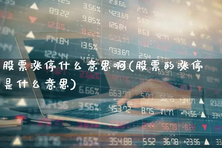 股票涨停什么意思啊(股票的涨停是什么意思)_https://www.fzdzcxj.com_科创板_第1张
