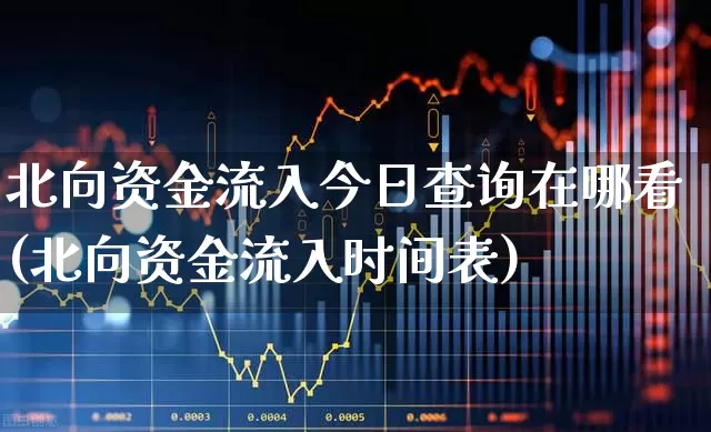 北向资金流入今日查询在哪看(北向资金流入时间表)_https://www.fzdzcxj.com_科创板_第1张