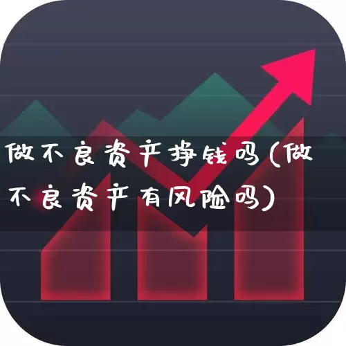 做不良资产挣钱吗(做不良资产有风险吗)_https://www.fzdzcxj.com_科创板_第1张