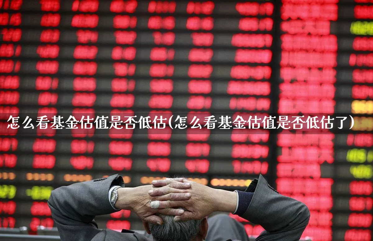 怎么看基金估值是否低估(怎么看基金估值是否低估了)_https://www.fzdzcxj.com_深交所_第1张