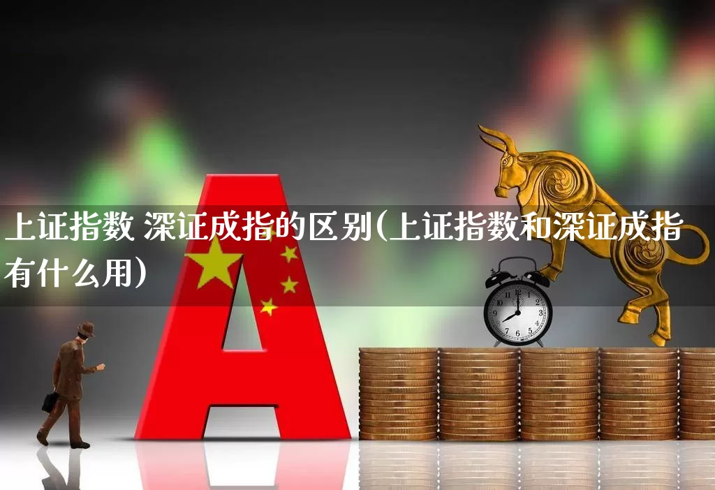 上证指数 深证成指的区别(上证指数和深证成指有什么用)_https://www.fzdzcxj.com_创业板_第1张