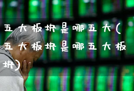 五大板块是哪五大(五大板块是哪五大板块)_https://www.fzdzcxj.com_北交所_第1张