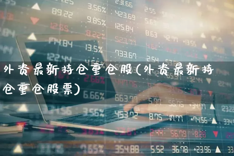 外资最新持仓重仓股(外资最新持仓重仓股票)_https://www.fzdzcxj.com_北交所_第1张