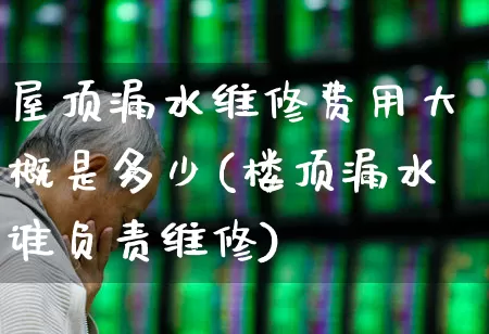 屋顶漏水维修费用大概是多少(楼顶漏水谁负责维修)_https://www.fzdzcxj.com_上交所_第1张