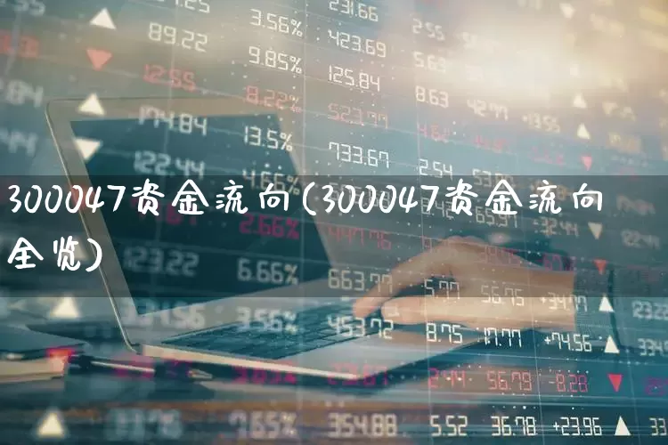 300047资金流向(300047资金流向全览)_https://www.fzdzcxj.com_北交所_第1张