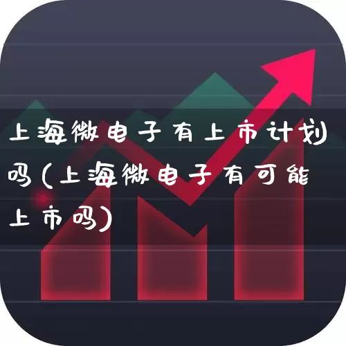 上海微电子有上市计划吗(上海微电子有可能上市吗)_https://www.fzdzcxj.com_创业板_第1张