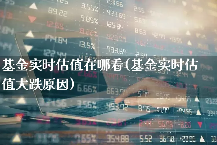 基金实时估值在哪看(基金实时估值大跌原因)_https://www.fzdzcxj.com_创业板_第1张