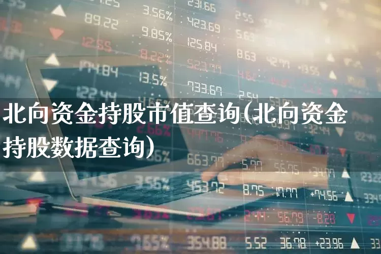 北向资金持股市值查询(北向资金持股数据查询)_https://www.fzdzcxj.com_北交所_第1张