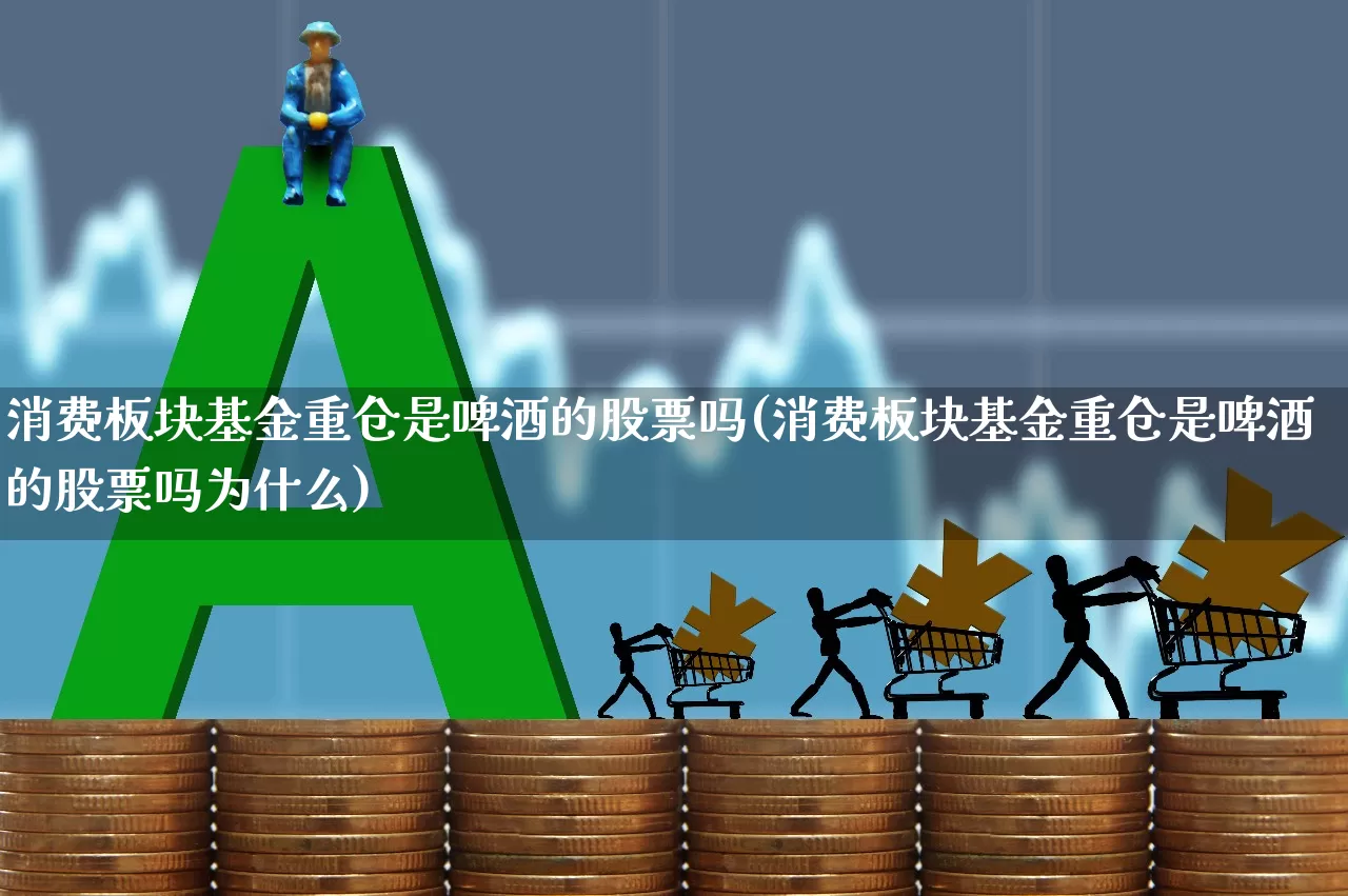 消费板块基金重仓是啤酒的股票吗(消费板块基金重仓是啤酒的股票吗为什么)_https://www.fzdzcxj.com_深交所_第1张