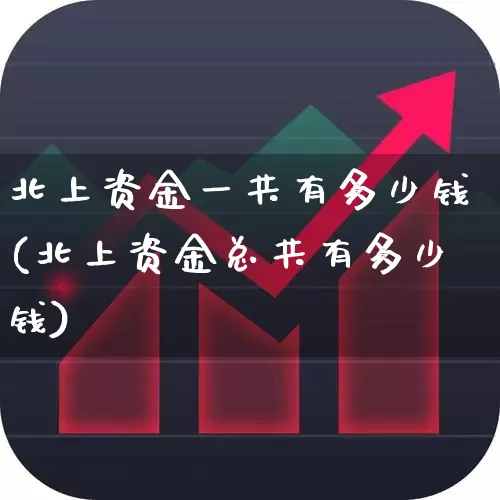 北上资金一共有多少钱(北上资金总共有多少钱)_https://www.fzdzcxj.com_创业板_第1张