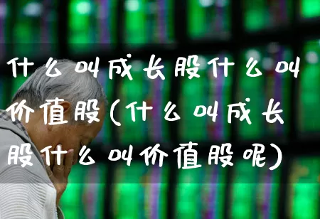 什么叫成长股什么叫价值股(什么叫成长股什么叫价值股呢)_https://www.fzdzcxj.com_深交所_第1张