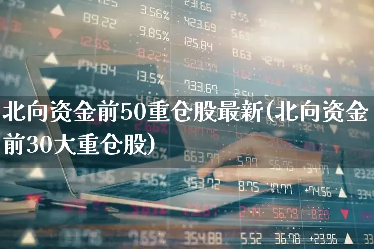 北向资金前50重仓股最新(北向资金前30大重仓股)_https://www.fzdzcxj.com_上交所_第1张