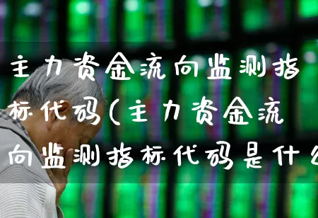 主力资金流向监测指标代码(主力资金流向监测指标代码是什么)_https://www.fzdzcxj.com_北交所_第1张