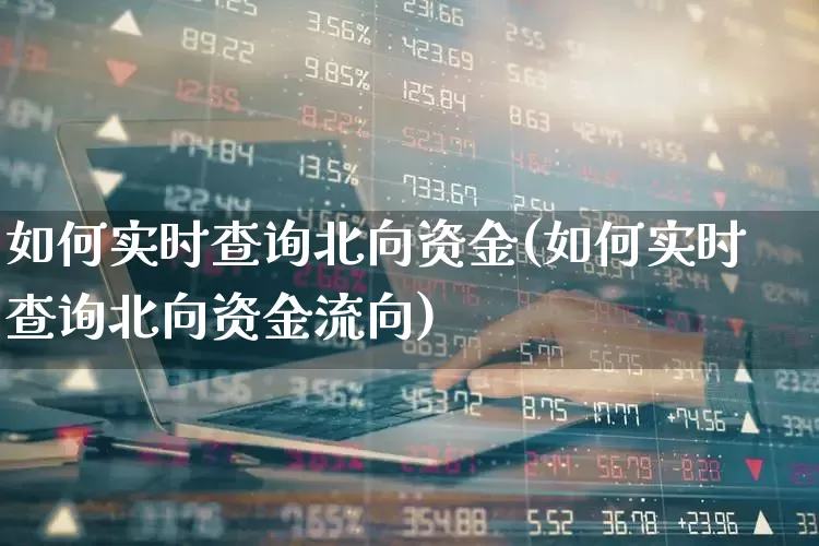 如何实时查询北向资金(如何实时查询北向资金流向)_https://www.fzdzcxj.com_创业板_第1张