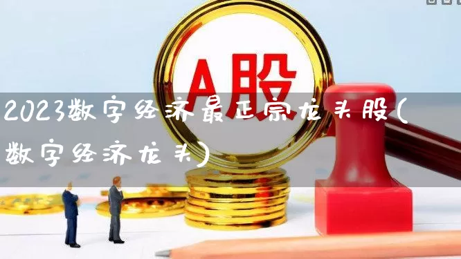 2023数字经济最正宗龙头股(数字经济龙头)_https://www.fzdzcxj.com_科创板_第1张