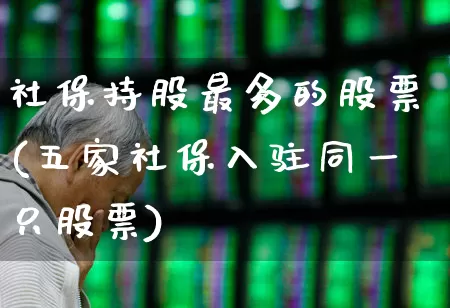 社保持股最多的股票(五家社保入驻同一只股票)_https://www.fzdzcxj.com_上交所_第1张