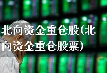 北向资金重仓股(北向资金重仓股票)_https://www.fzdzcxj.com_北交所_第1张