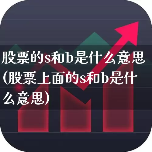 股票的s和b是什么意思(股票上面的s和b是什么意思)_https://www.fzdzcxj.com_上交所_第1张