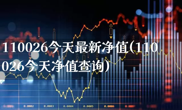 110026今天最新净值(110026今天净值查询)_https://www.fzdzcxj.com_科创板_第1张