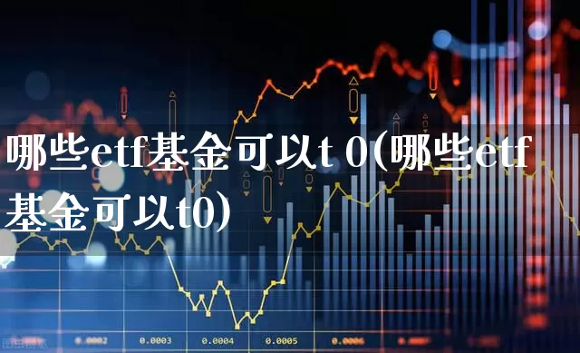 哪些etf基金可以t 0(哪些etf基金可以t0)_https://www.fzdzcxj.com_创业板_第1张