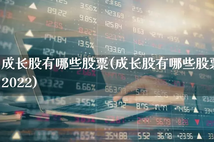 成长股有哪些股票(成长股有哪些股票2022)_https://www.fzdzcxj.com_创业板_第1张