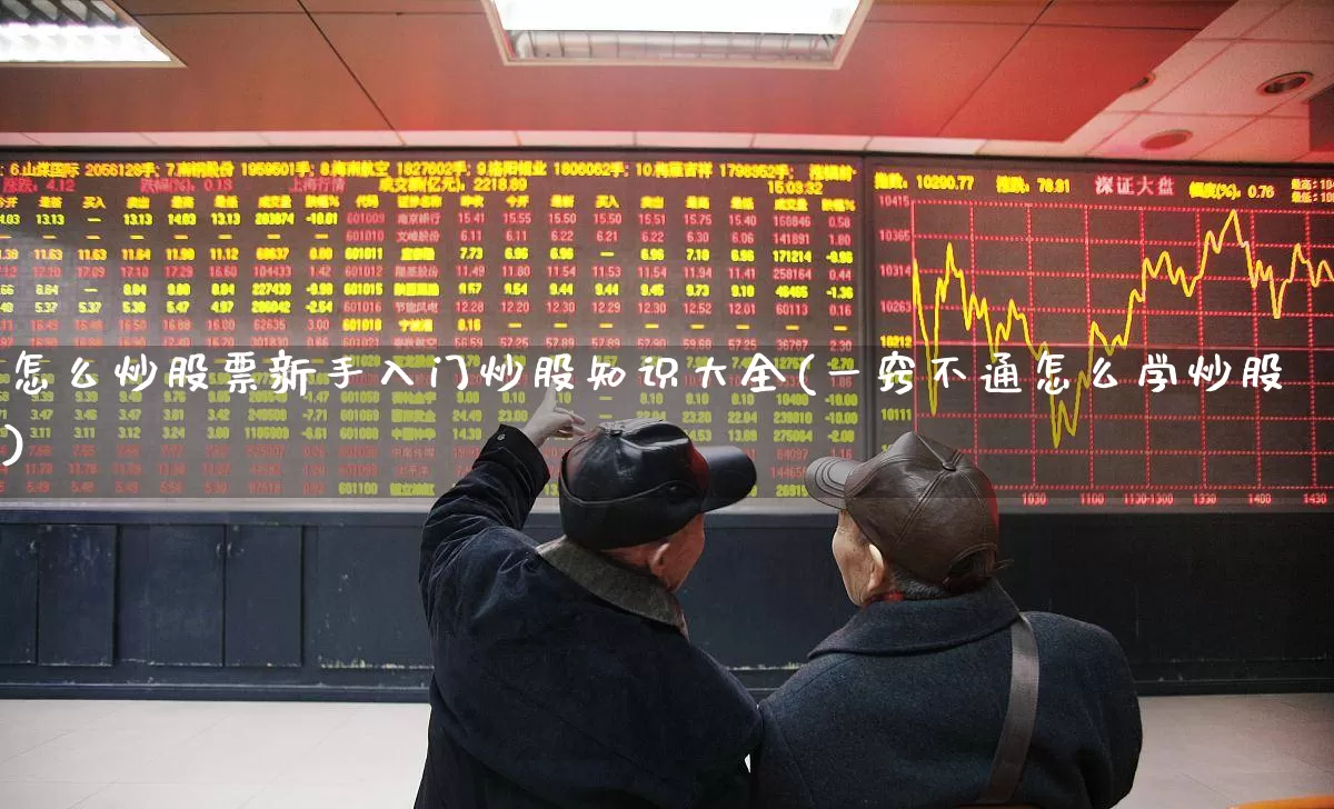 怎么炒股票新手入门炒股知识大全(一窍不通怎么学炒股)_https://www.fzdzcxj.com_上交所_第1张