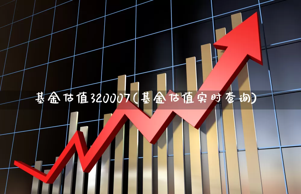 基金估值320007(基金估值实时查询)_https://www.fzdzcxj.com_上交所_第1张