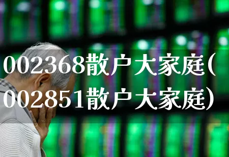 002368散户大家庭(002851散户大家庭)_https://www.fzdzcxj.com_上交所_第1张