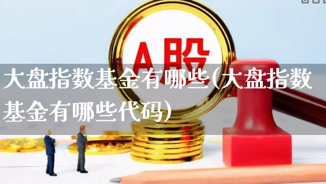 大盘指数基金有哪些(大盘指数基金有哪些代码)_https://www.fzdzcxj.com_创业板_第1张