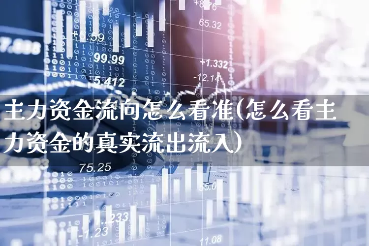 主力资金流向怎么看准(怎么看主力资金的真实流出流入)_https://www.fzdzcxj.com_深交所_第1张