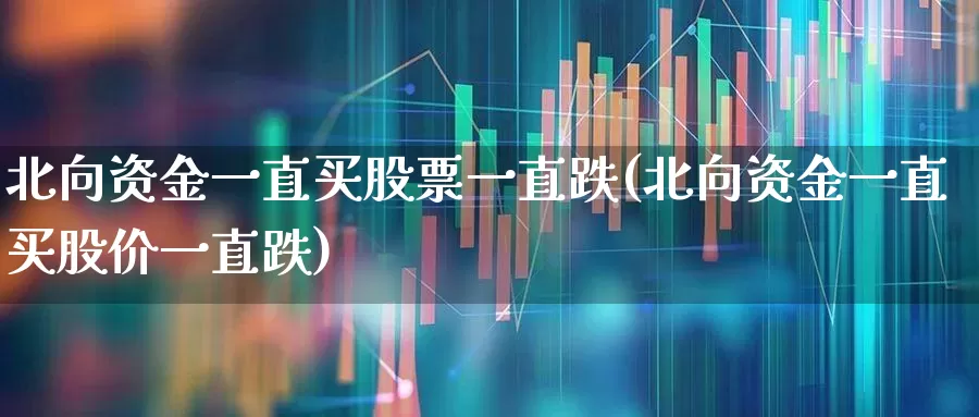 北向资金一直买股票一直跌(北向资金一直买股价一直跌)_https://www.fzdzcxj.com_科创板_第1张