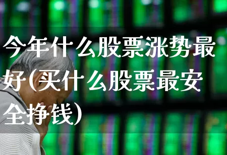 今年什么股票涨势最好(买什么股票最安全挣钱)_https://www.fzdzcxj.com_创业板_第1张